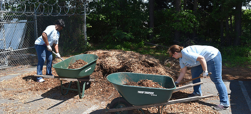 Volunteers working