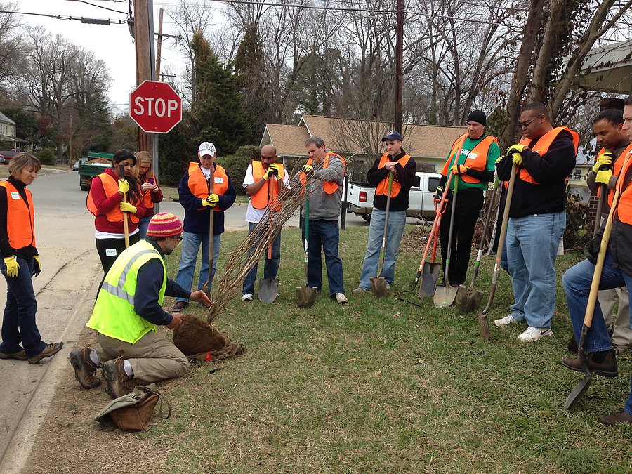 tree planting with a large crowd